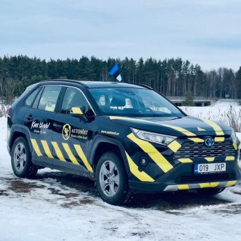 Eesti lipuvärvides pidulik kujundus vabariigi aastapäevaks